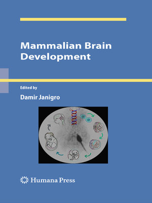 cover image of Mammalian Brain Development